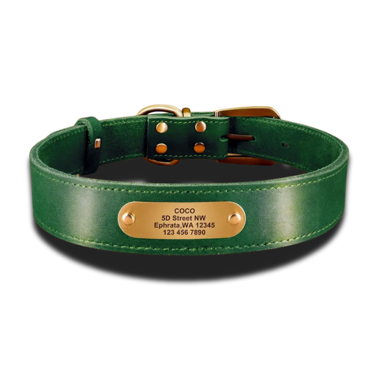 Customizable collars