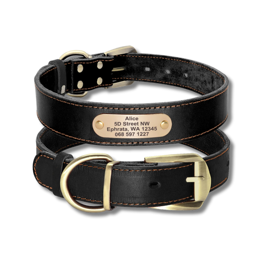 Custom Leather Dog Collar - Black - 2XS to XL