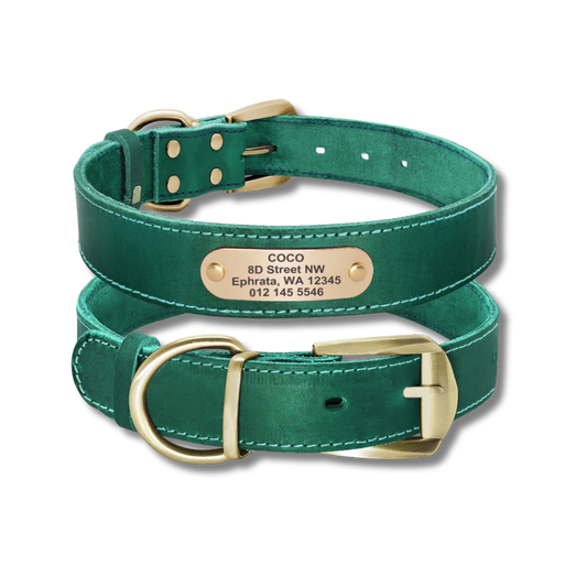 Custom Leather Dog Collar - Green - 2XS to XL