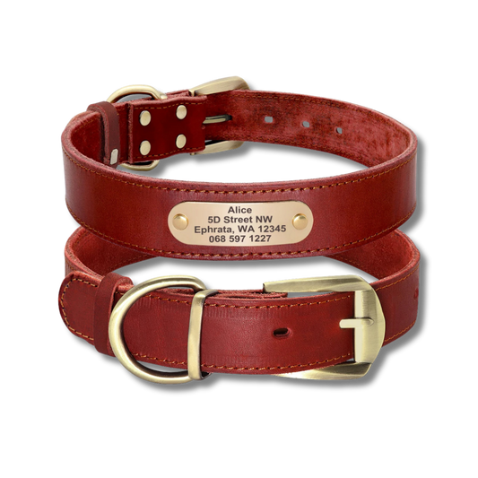 Custom Leather Dog Collar - Red Brown - 2XS to XL