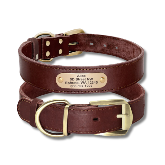 Custom Leather Dog Collar - Brown - 2XS to XL