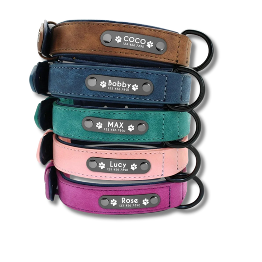 Personalised Leather Dog Collar