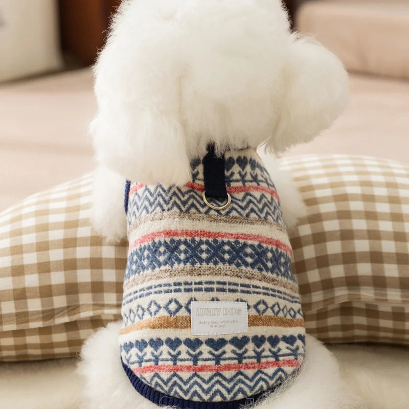 Velour Luxe Pet Jacket - Blue - S to XXL