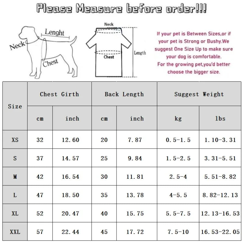 Velour Luxe Pet Jacket - Blue - S to XXL