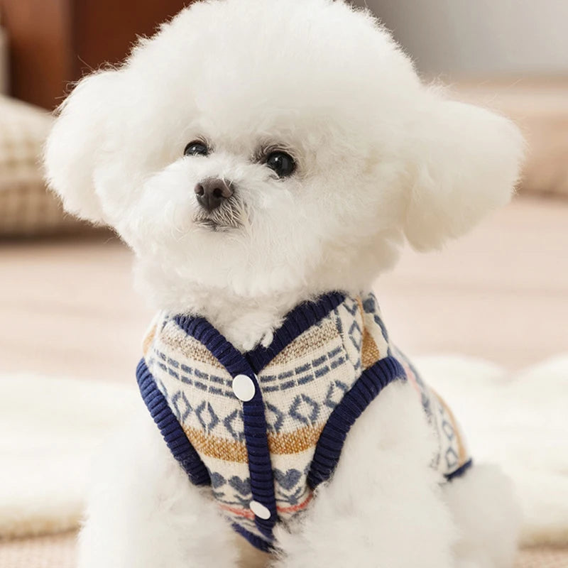 Velour Luxe Pet Jacket - Blue - S to XXL