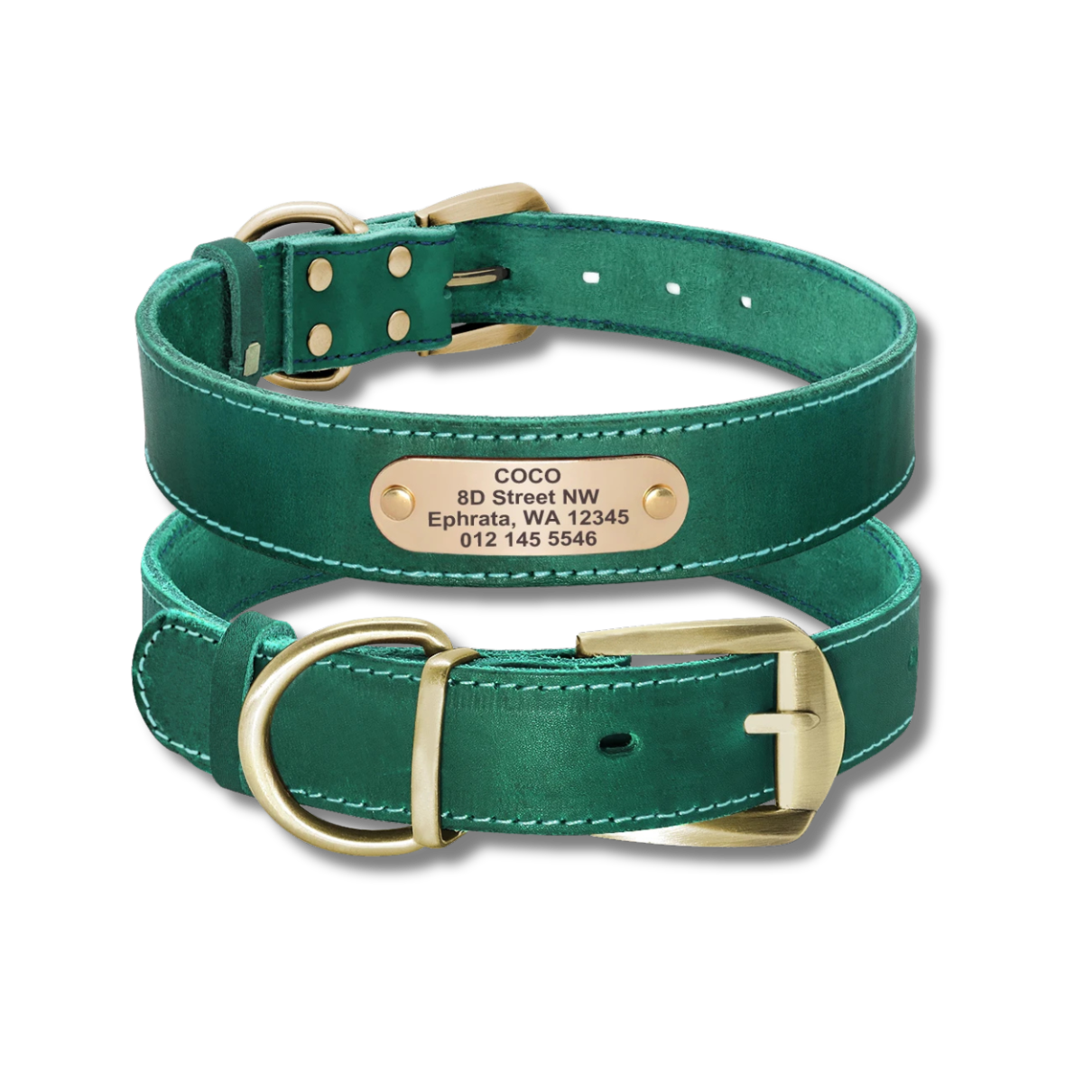 Custom Leather Dog Collar - Green - 2XS to XL