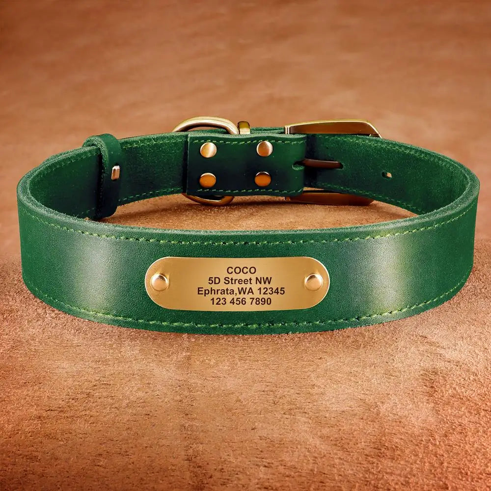 Custom Leather Dog Collar - Green - 2XS to XL